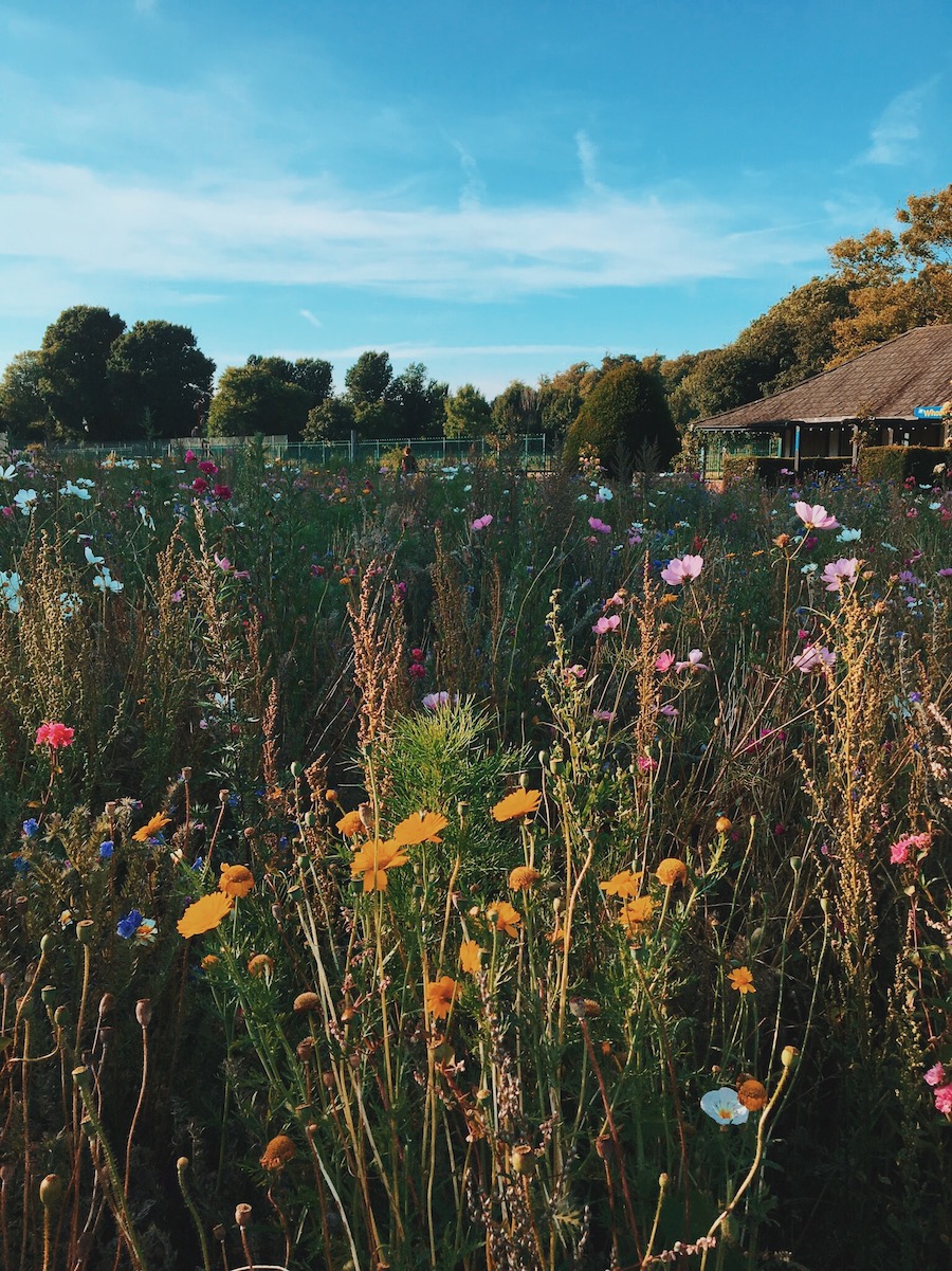 Brighton in Summer How to Get Away From Everyone Ellie & Co