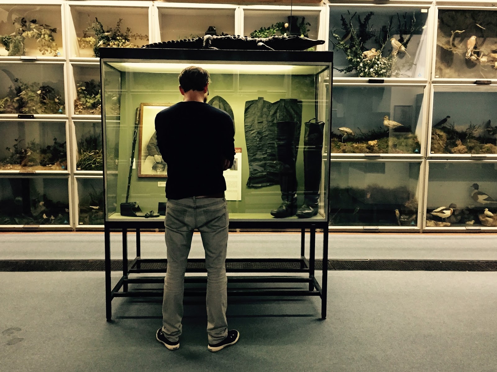 The Booth Museum of Natural History, a hidden cabinet of curiosities in Brighton