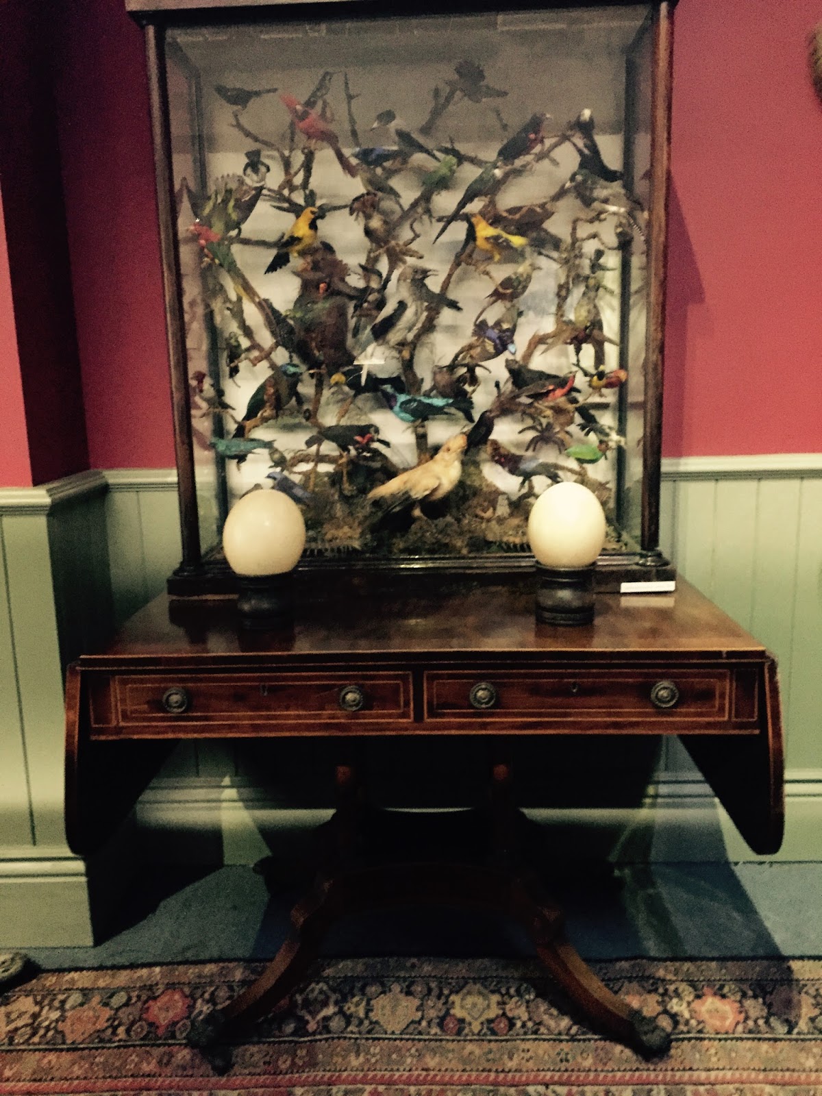The Booth Museum of Natural History, a hidden cabinet of curiosities in Brighton
