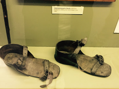 The Booth Museum of Natural History, a hidden cabinet of curiosities in Brighton