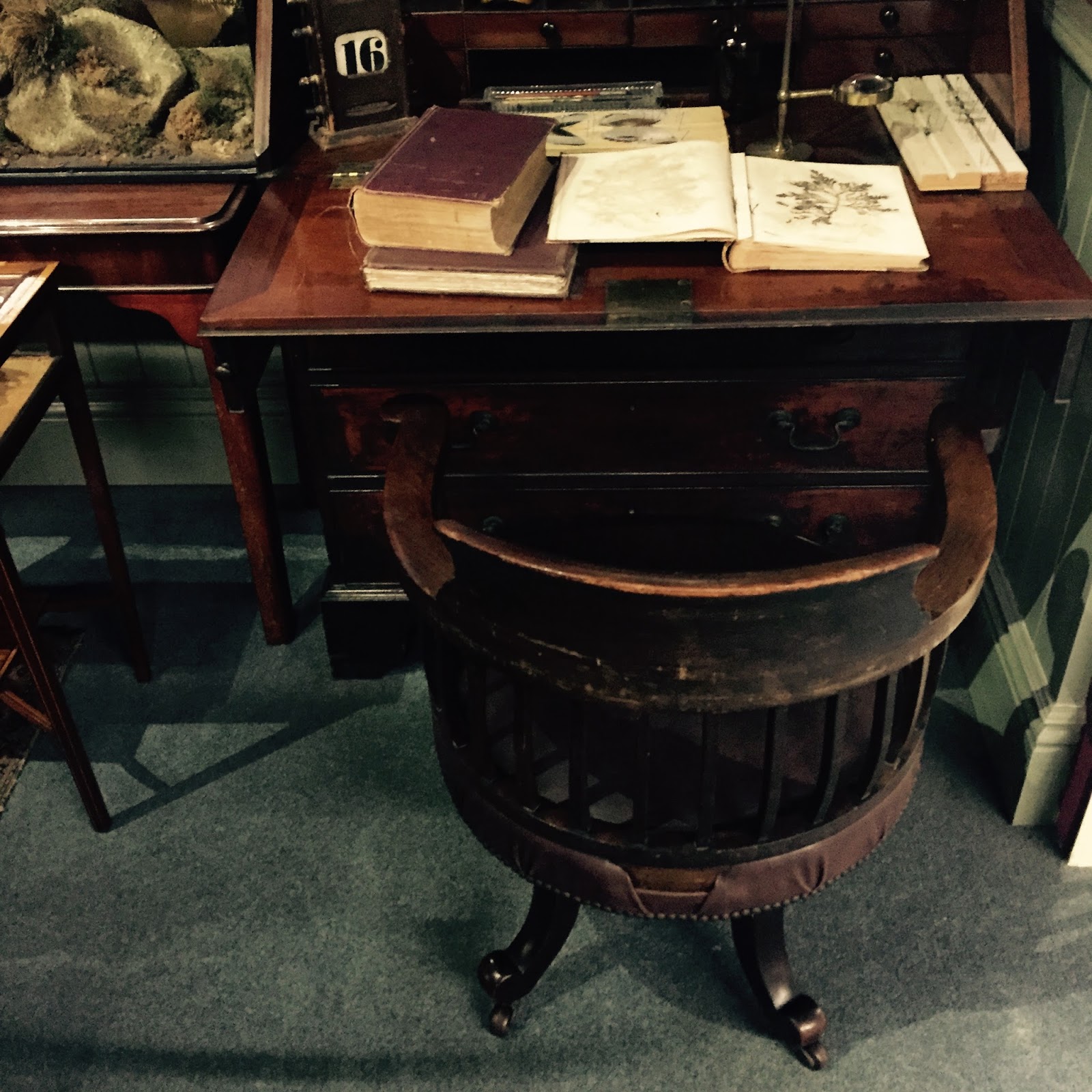 The Booth Museum of Natural History, a hidden cabinet of curiosities in Brighton