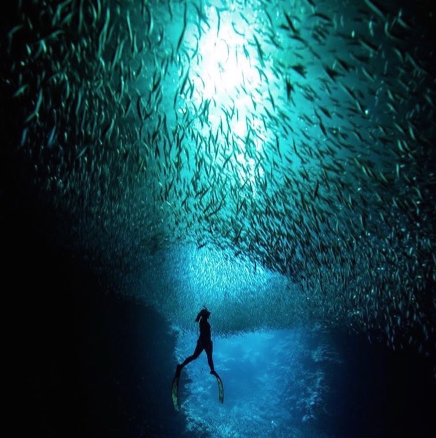 Kimi Werner champion spearfisherwoman