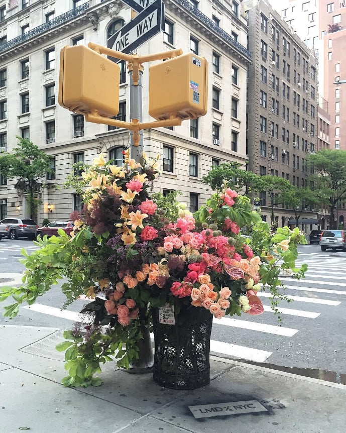 lewis miller flower flash new york