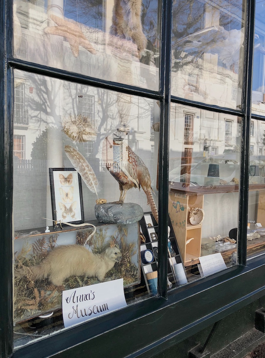 annas museum brighton