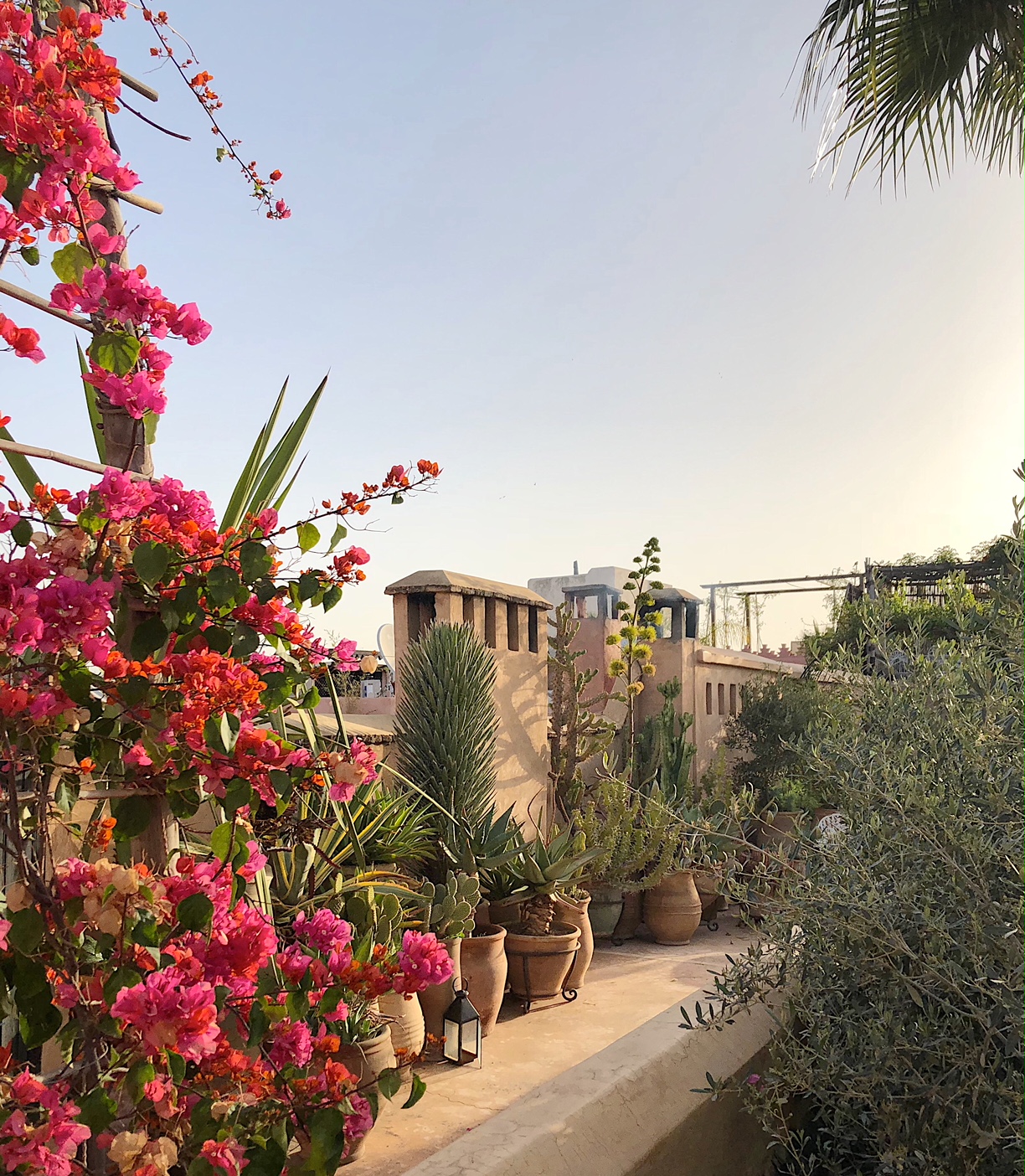 dar rbaa laroub riad marrakech