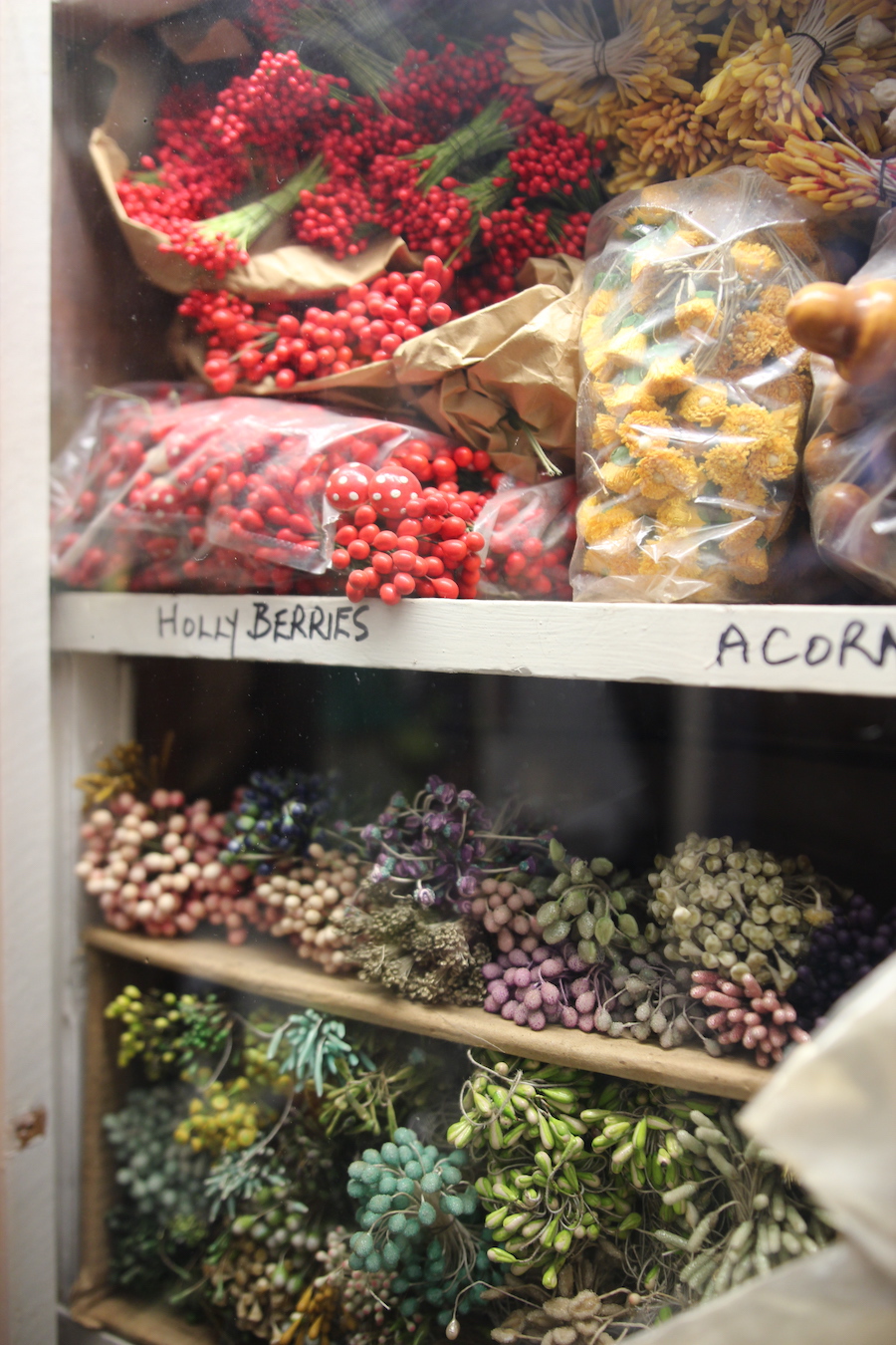 Flower Makers Museum hastings