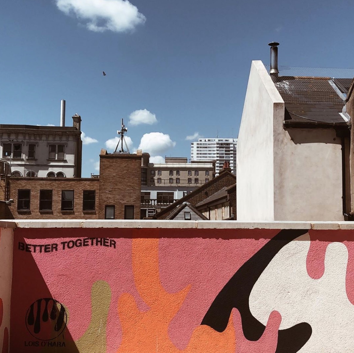 The projects brighton roof terrace