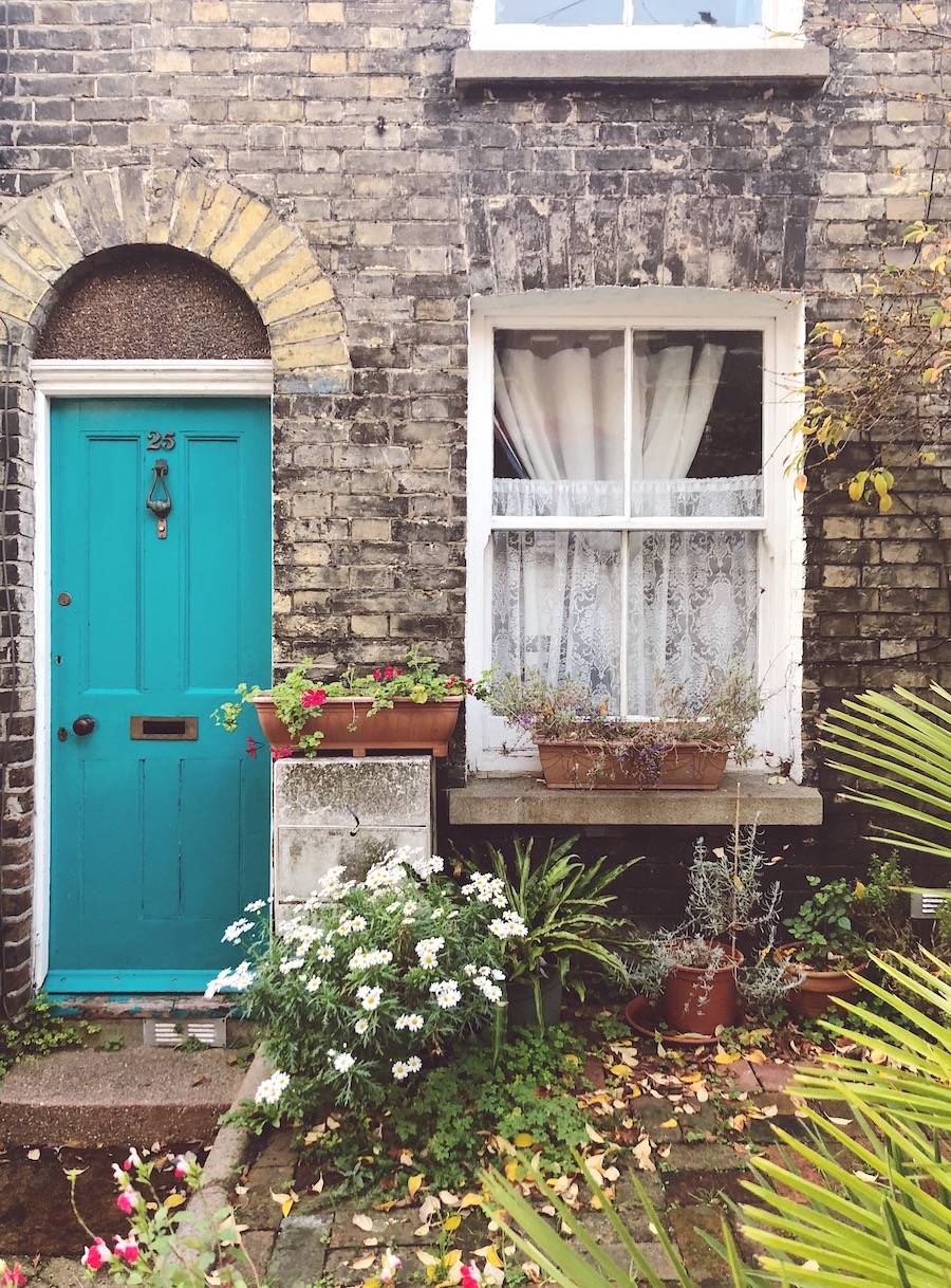 frederick gardens brighton north laine