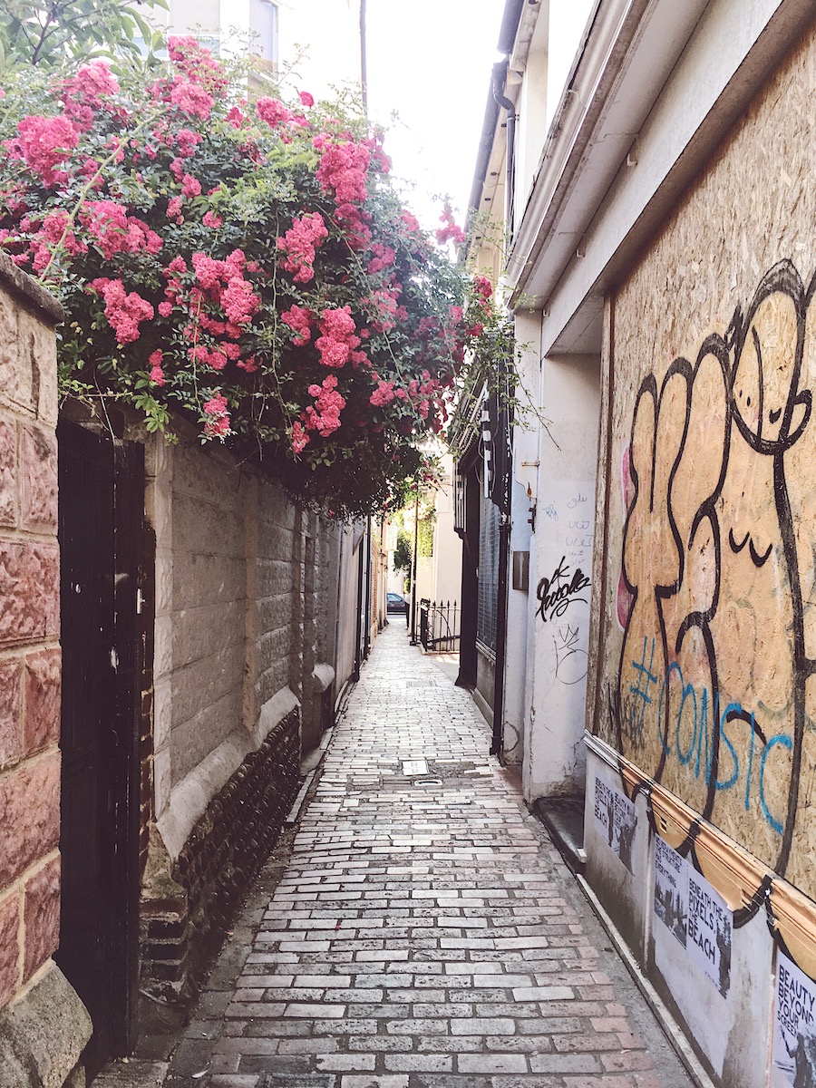 ship street gardens brighton Twitter