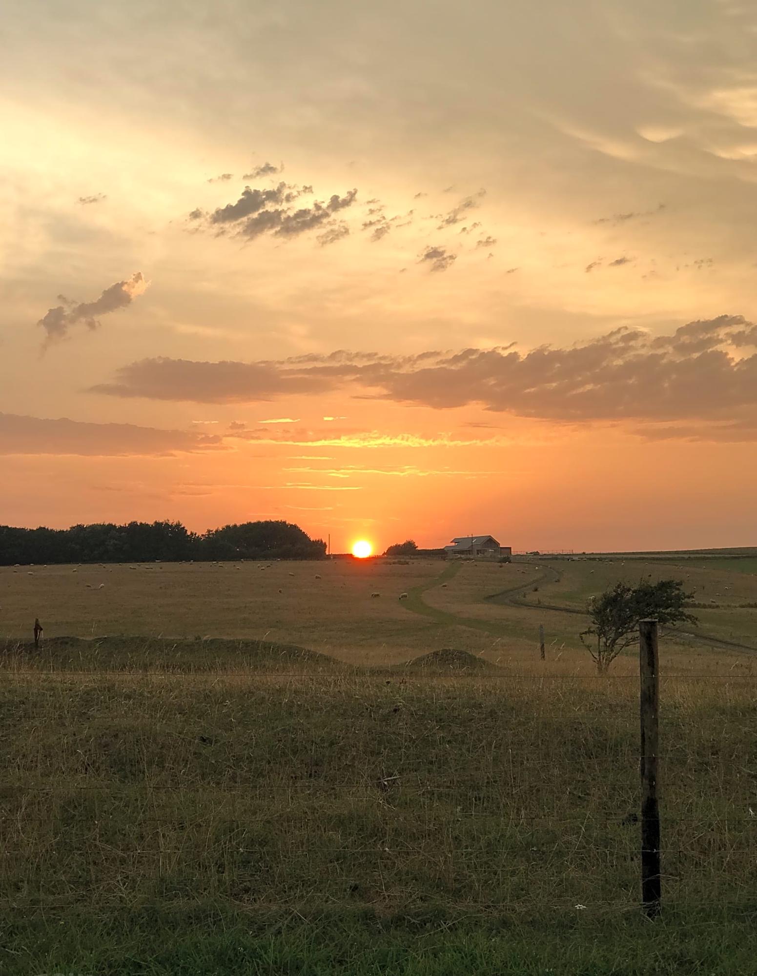 stud farm camping telscombe