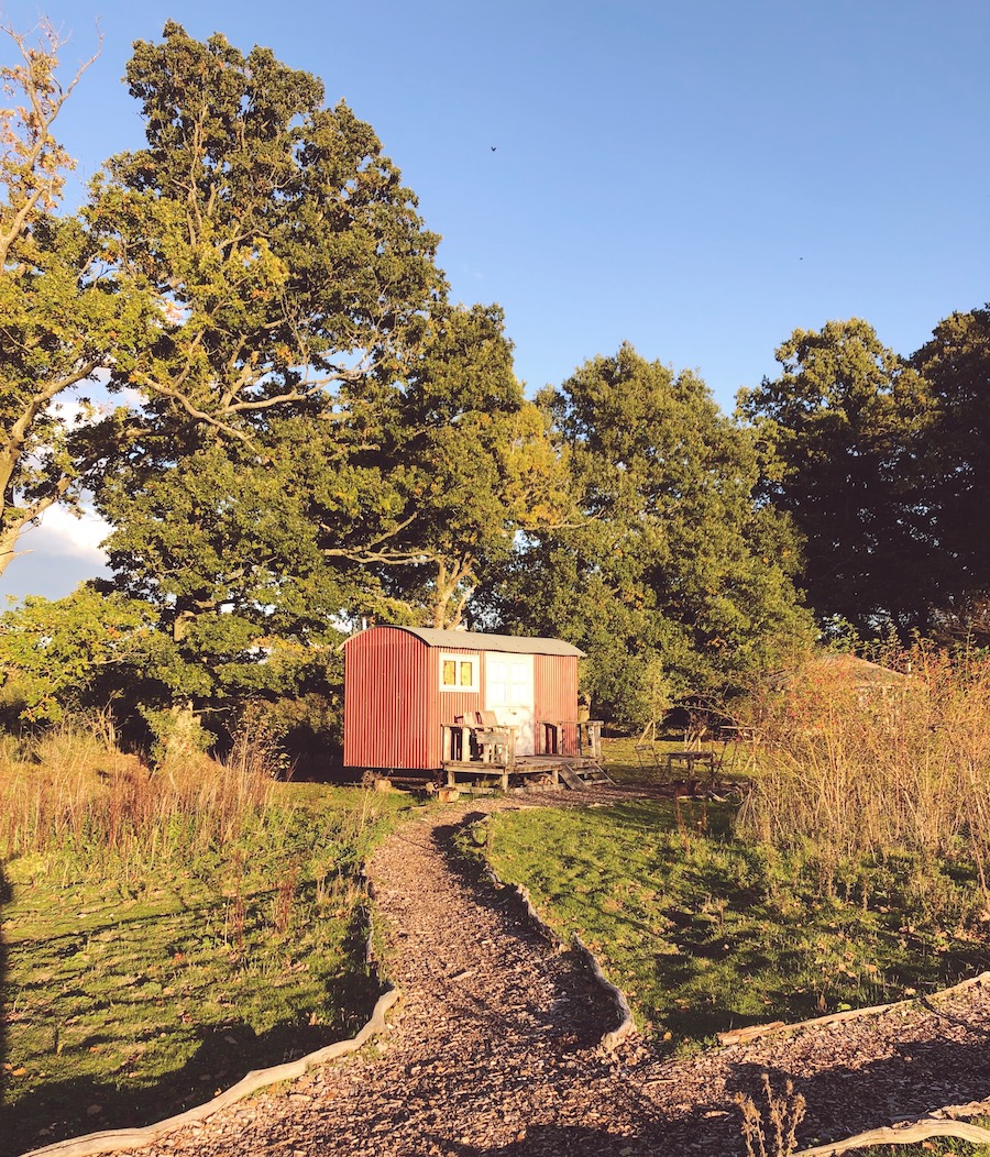 knepp safaris shepherd's huts