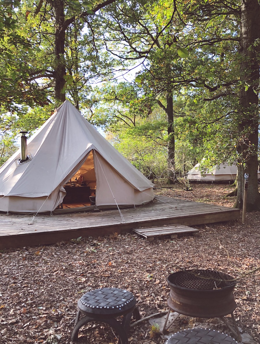 glamping at knepp wildland in sussex