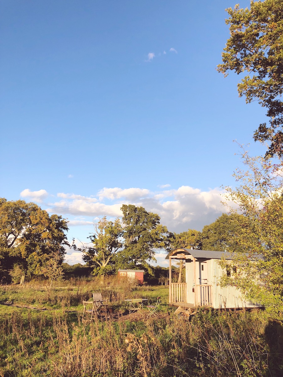 knepp safaris sussex