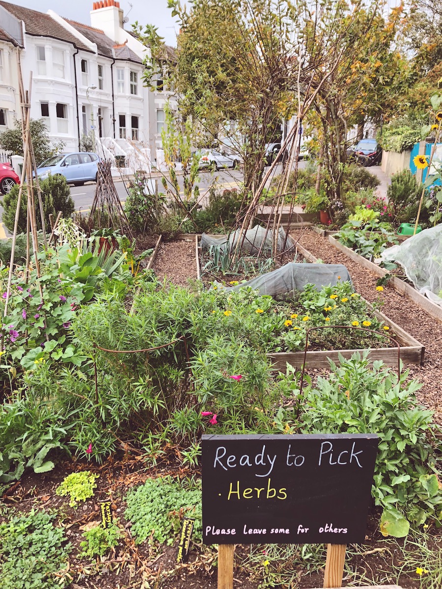 community garden stanford avenue brighton 