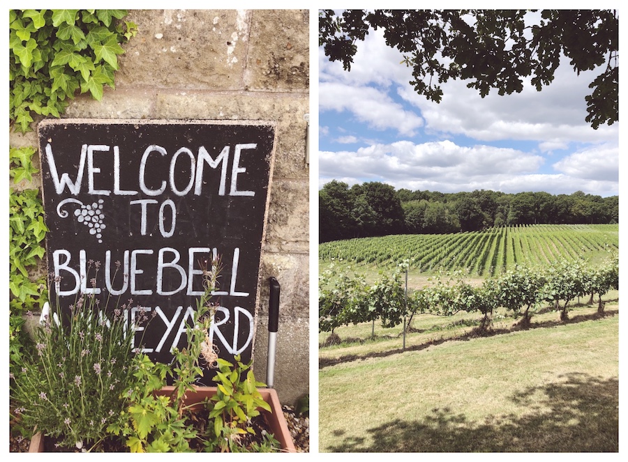 bluebell vineyard east sussex