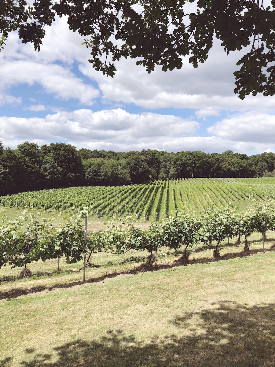 bluebell winery east sussex