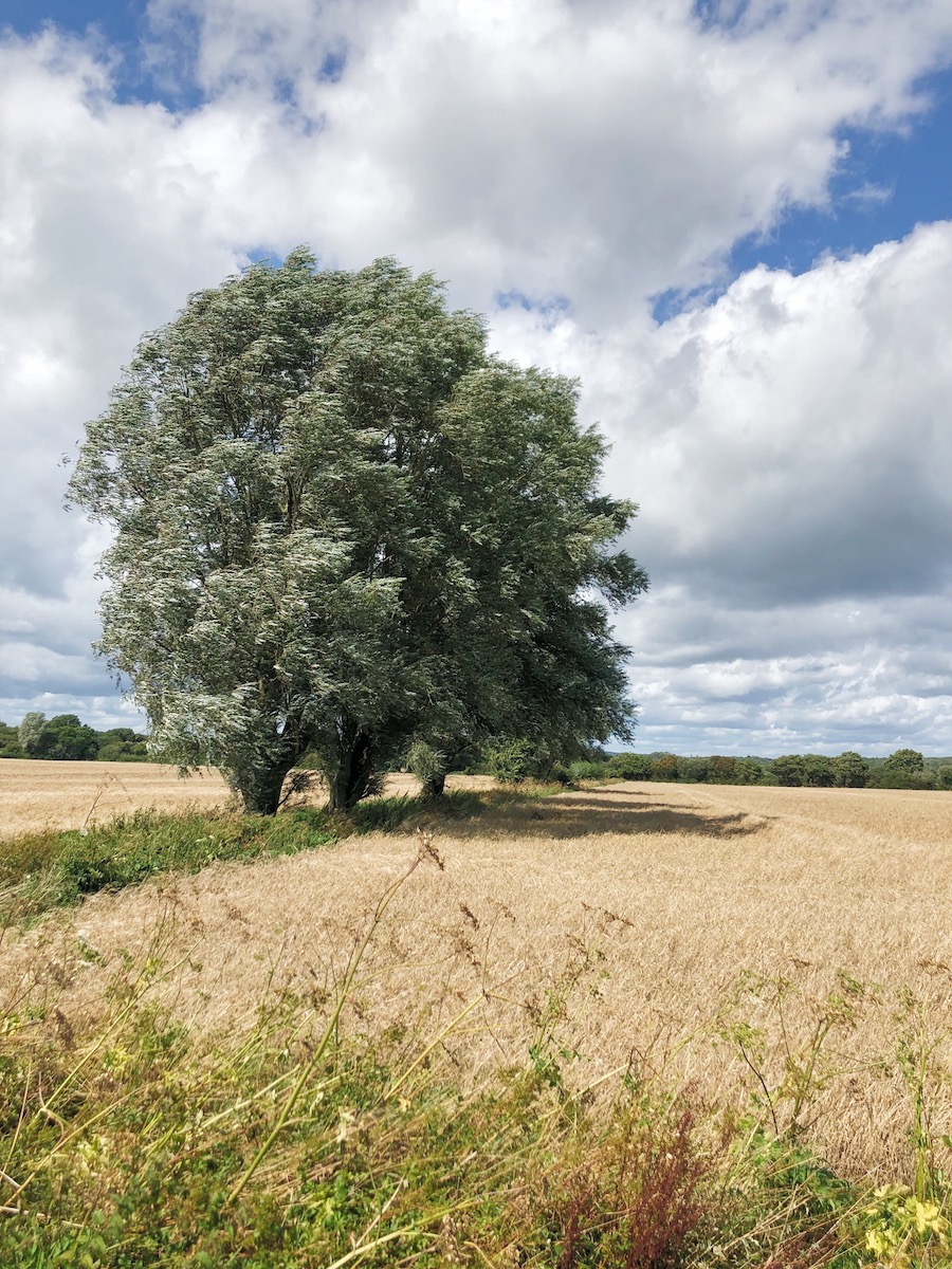 east sussex hidden walks ellie seymour blog