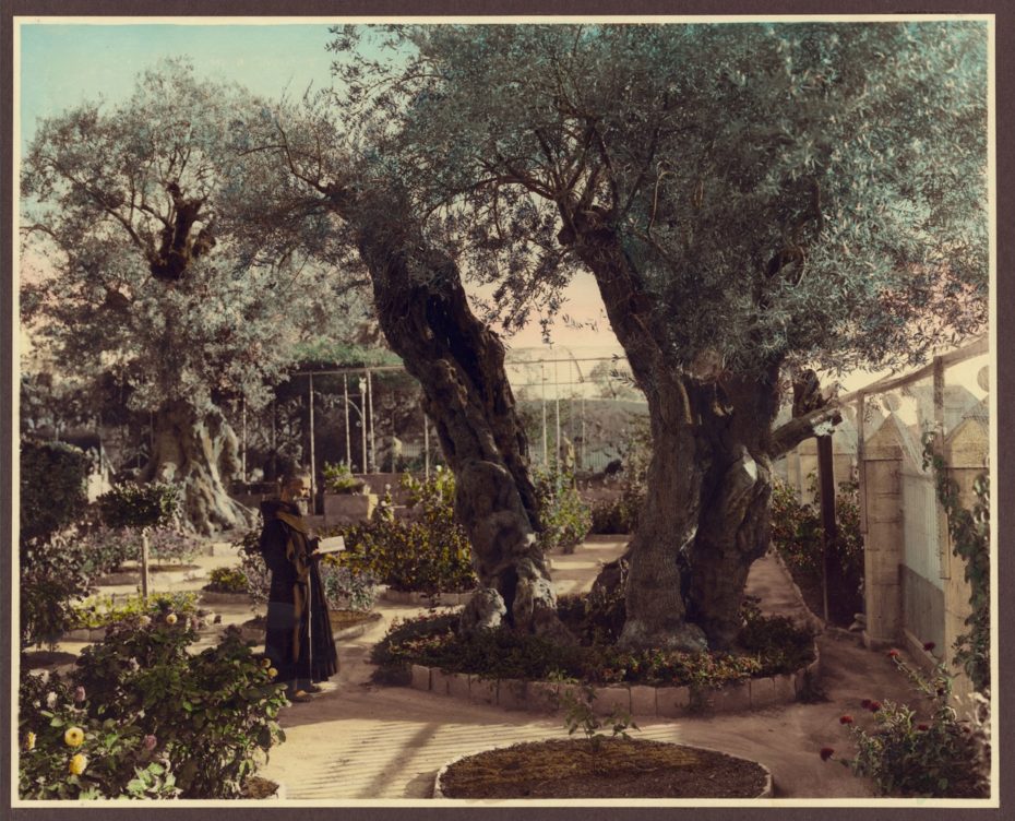 historical photo of palestine