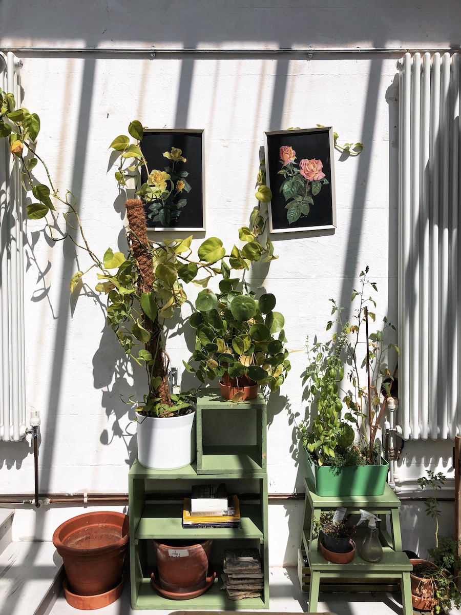 greenhouse room