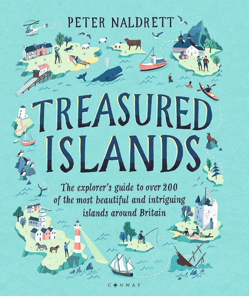 turquoise book cover