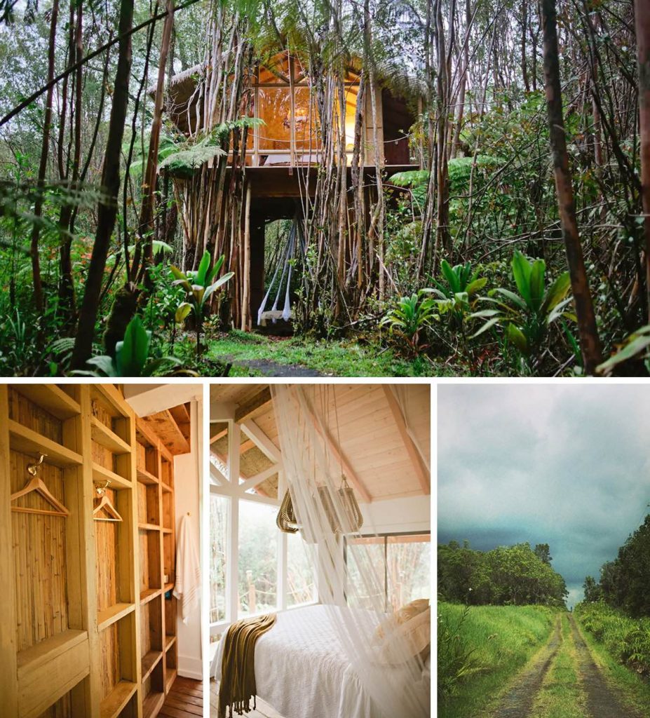 kristie Woolf treehouse hawaii airbnb