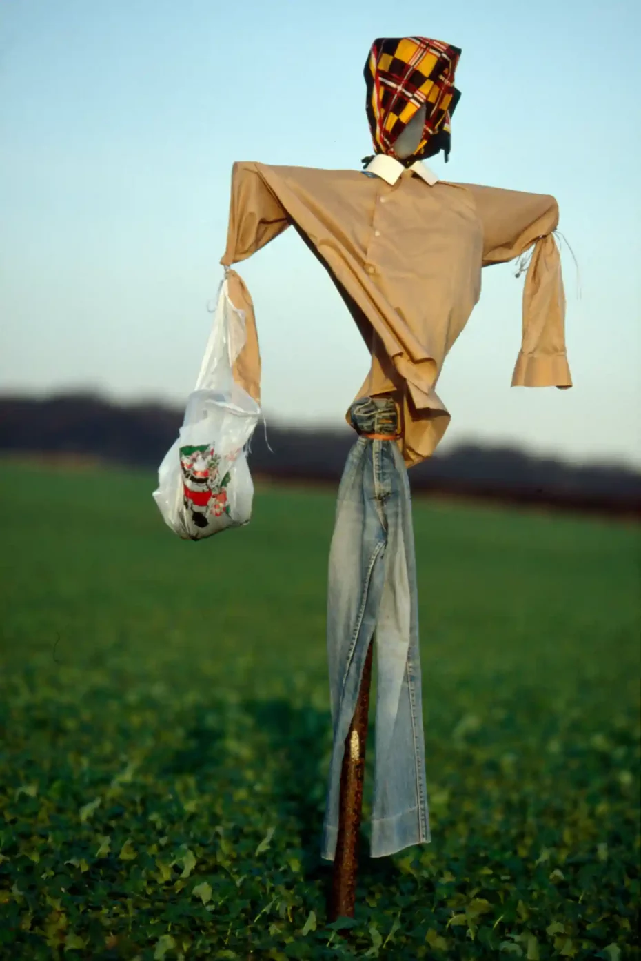 colin garrat scarecrow photography
