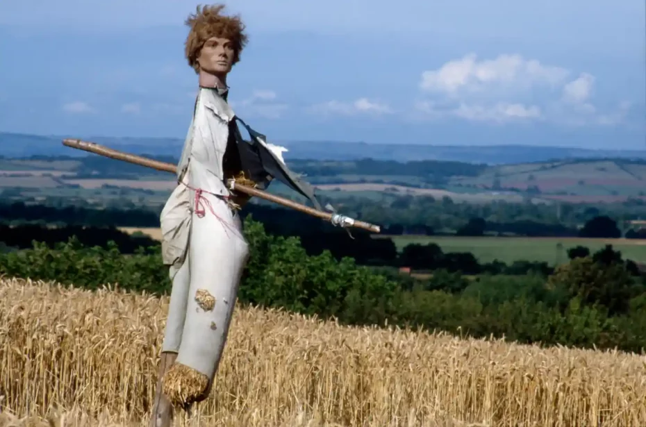 Photograph of a scarecrow in a field