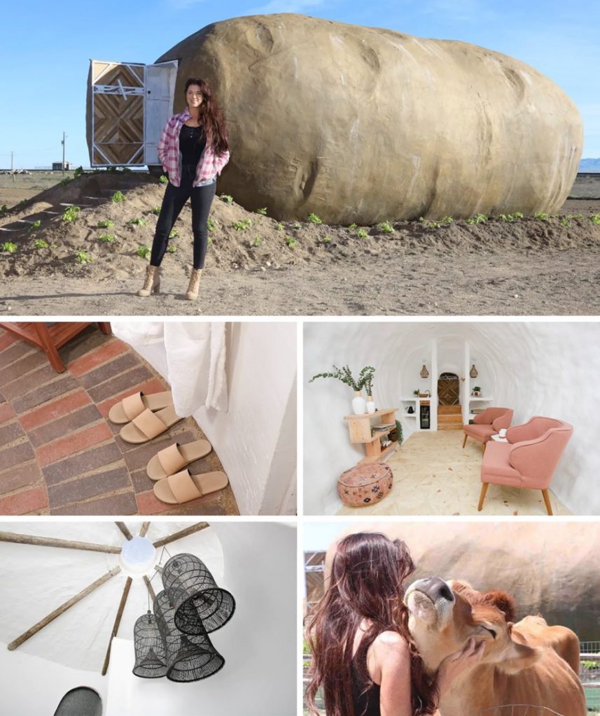 Kristie Wolfe giant potato tiny home airbnb