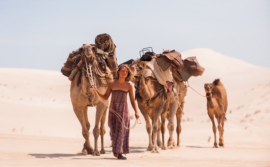 girl leading camels in desert