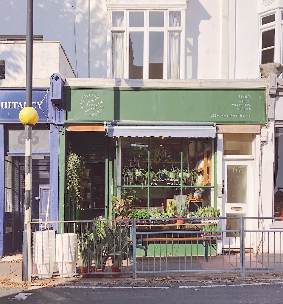brighton shopfront florist