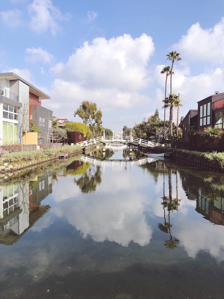 canal lined with palm trees
