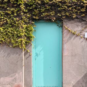 ivy covered blue door brighton