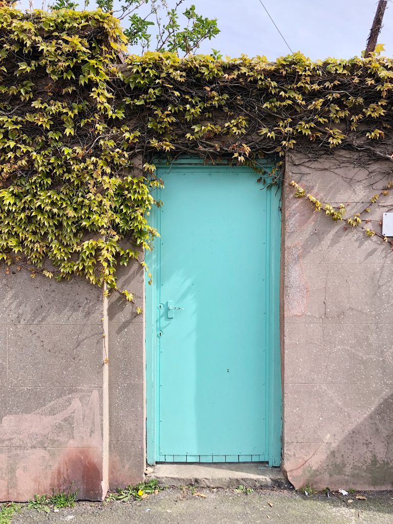 ivy covers a light blue door to the secret garden in kemptown, Brighton 