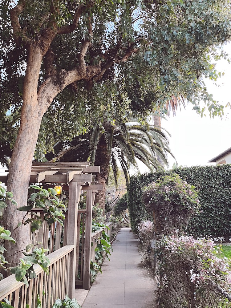 a narrow pedestrian alleyway lined with trees in Venice, LA, known as a walk street