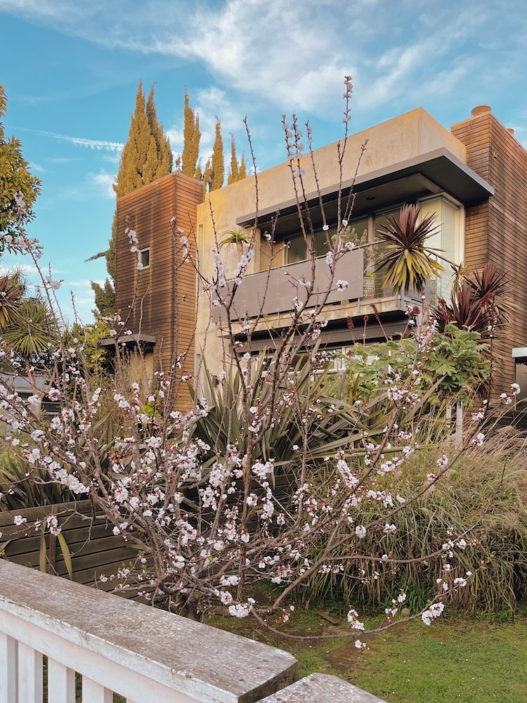 a modern three story house in Venice Beach, California