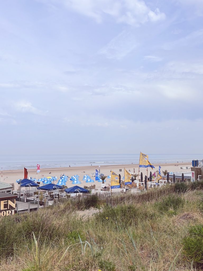 Zandvoort beach with beach club terraces, blue parasols and flags in the foreground, North Sea beyond, North Holland