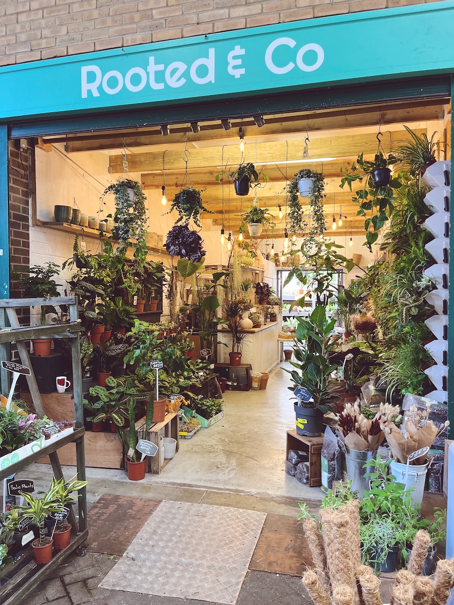 Rooted & Co plant shop at Brighton Open Market, filled with houseplants, hanging plants and dried flowers