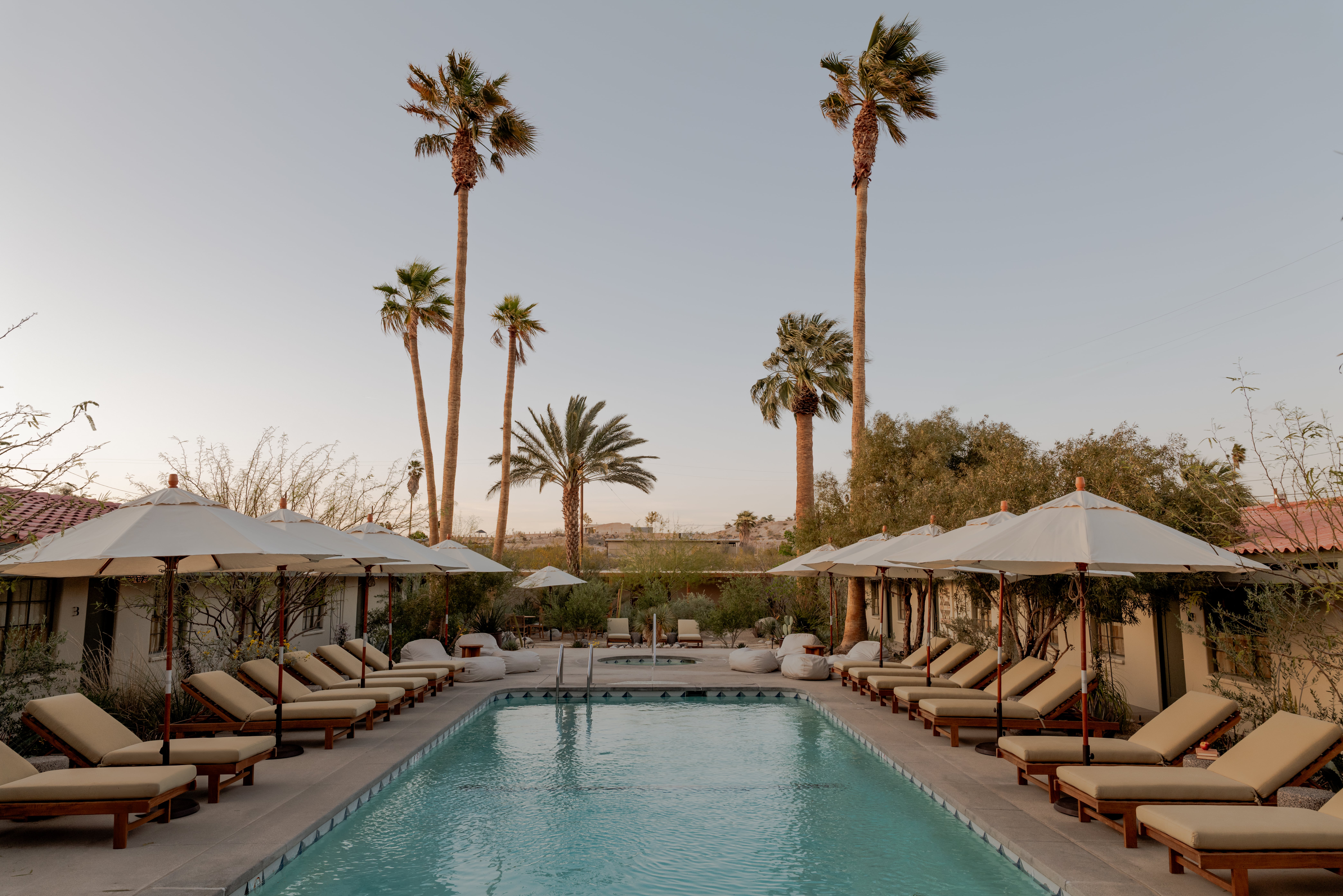 Palm-lined courtyard swimming pool at Hotel Wren in Twentynine Palms, California