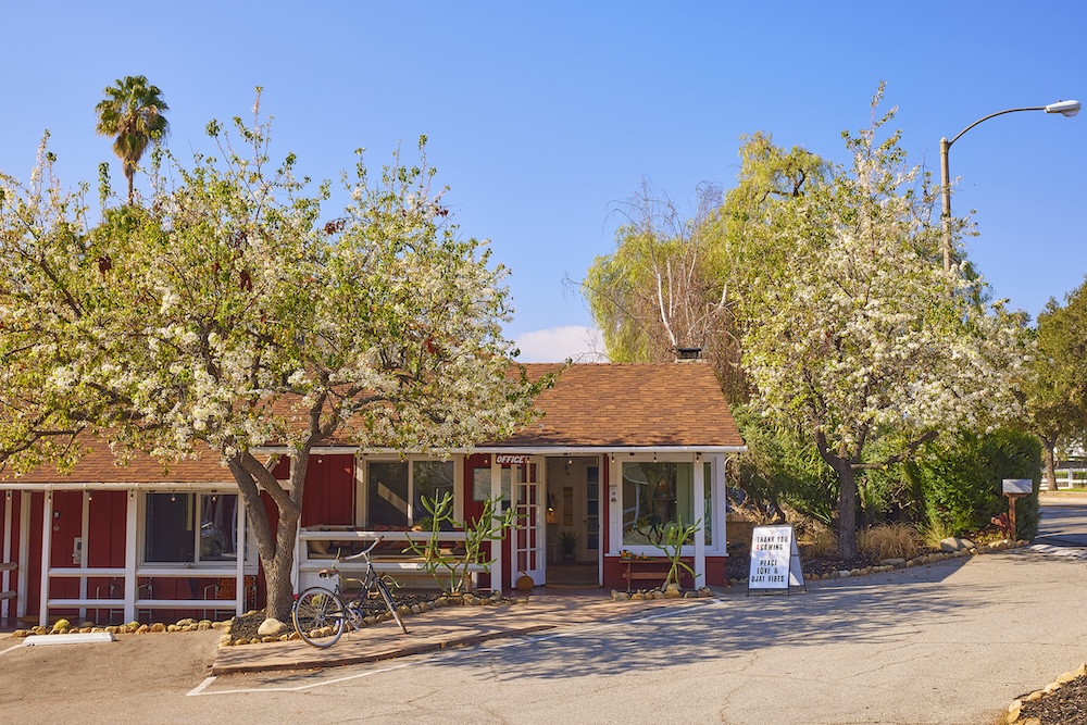 Ojai Rancho Inn motel building beneath flowering trees in Ojai, California
