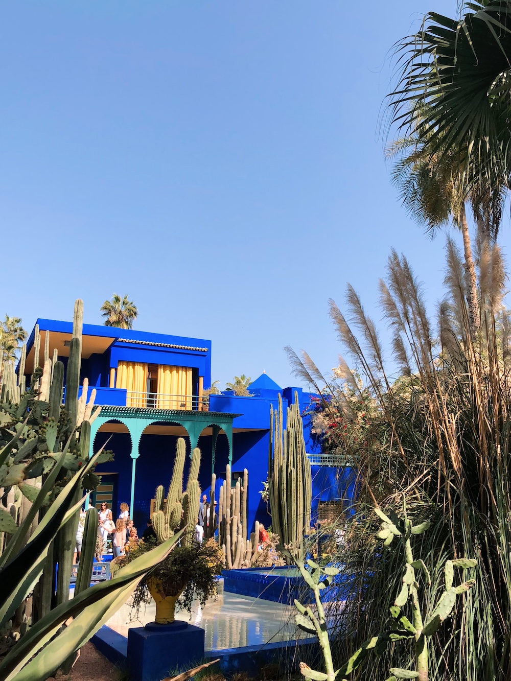 The cobalt-blue villa at Jardin Majorelle in Marrakech, framed by cacti and pampas grass